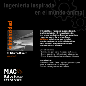 Tiburón para ilustrar la potencia de los motores silenciosos para puertas enrollables MacMotor